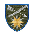 Шеврон 66 ОМБр кольоровий