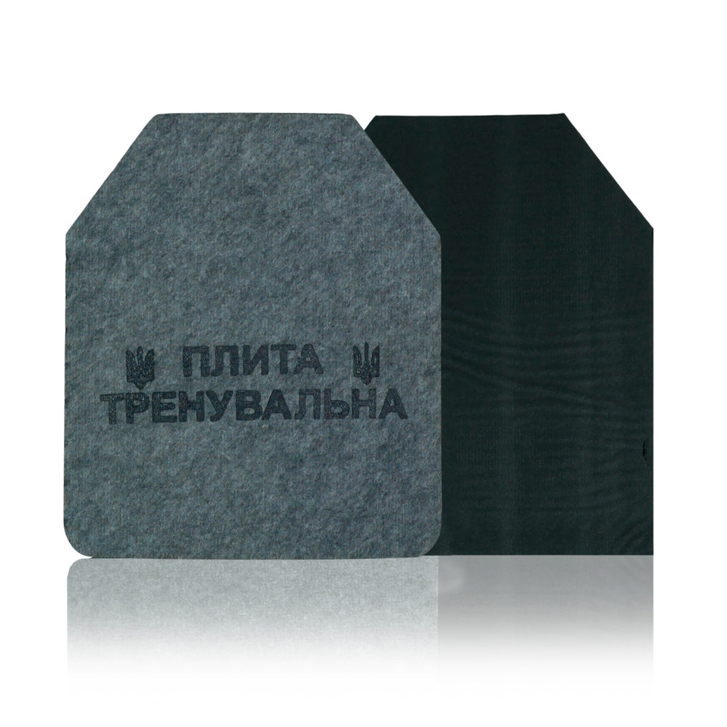 Сталеві тренувальні плити 2 шт