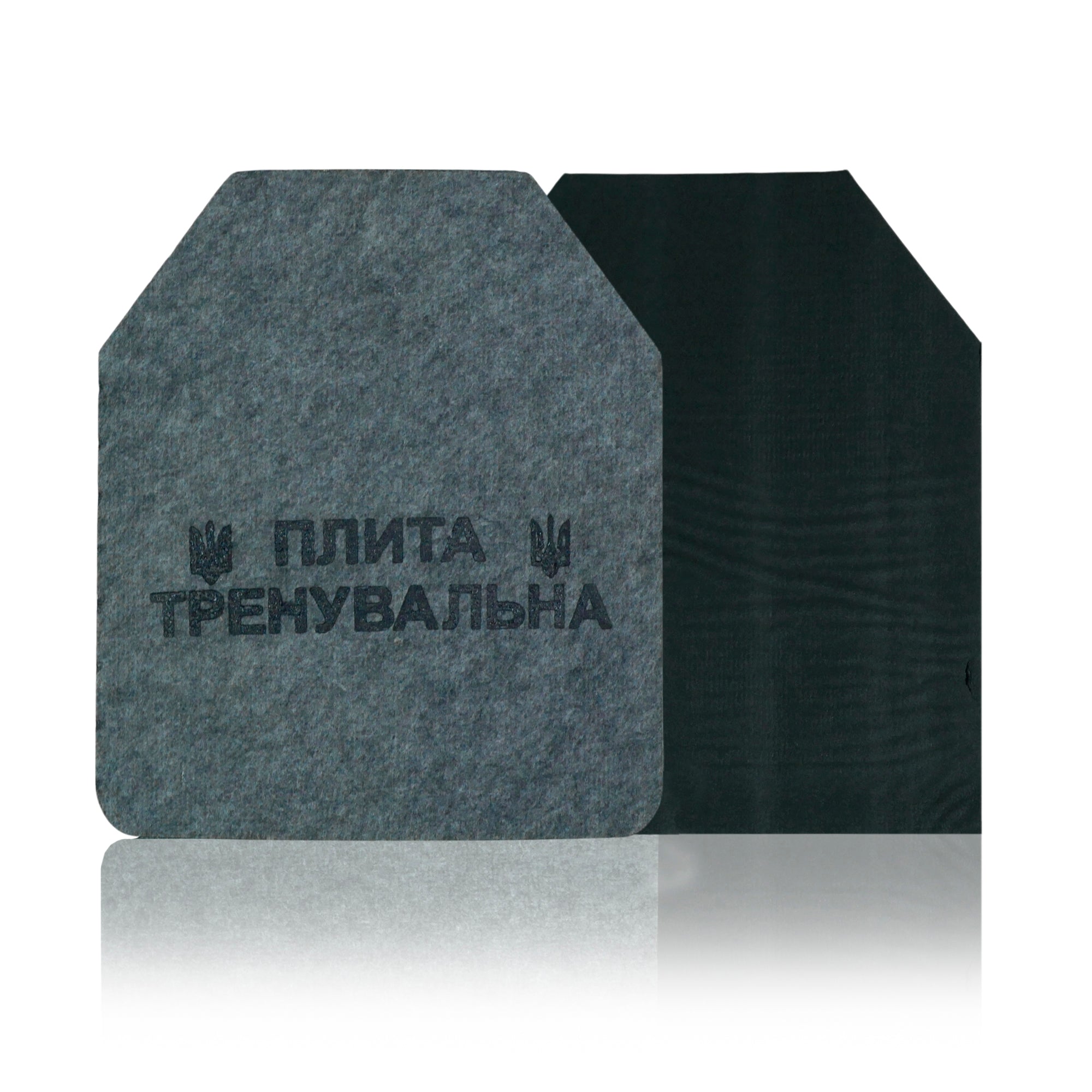 Сталеві тренувальні плити 2 шт