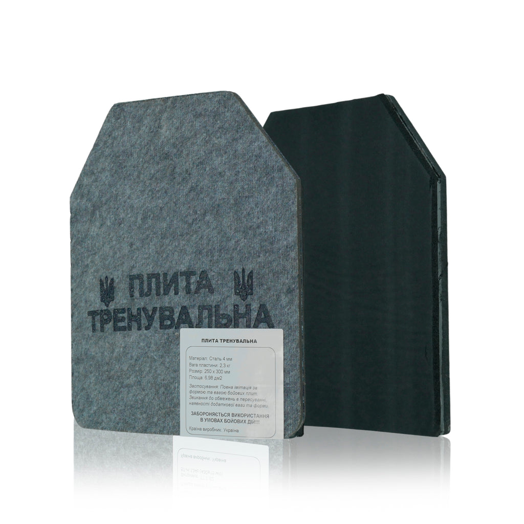 Сталеві тренувальні плити 2 шт