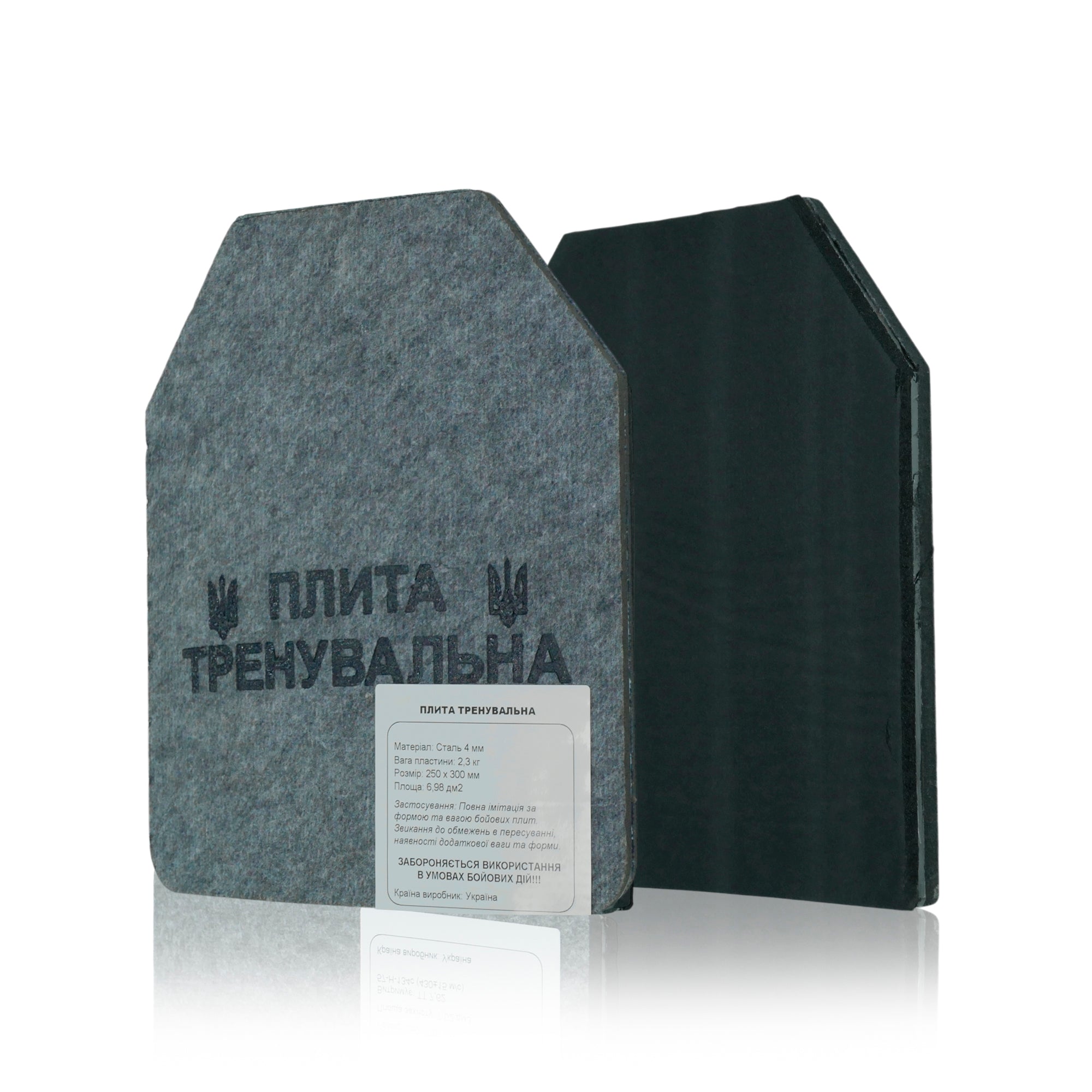Сталеві тренувальні плити 2 шт